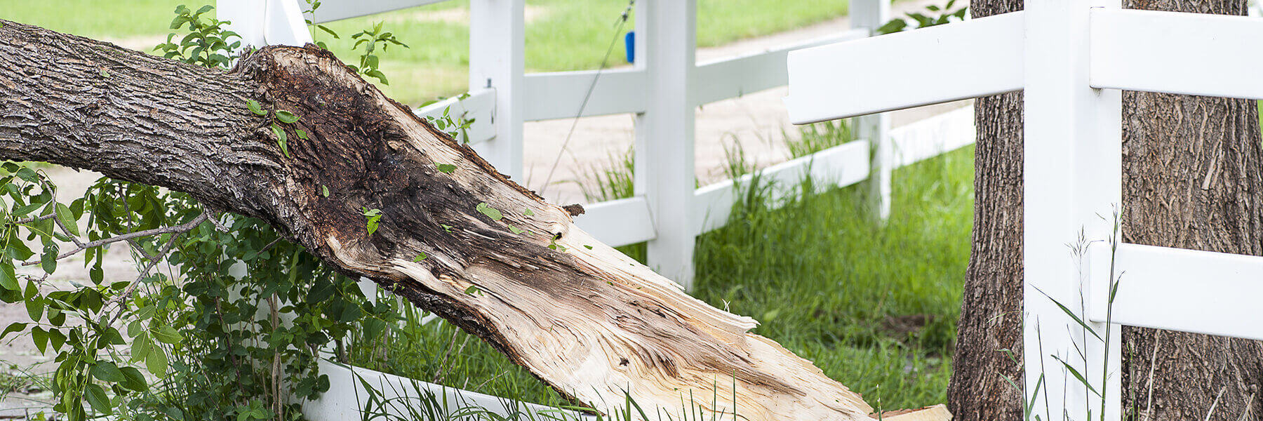 Reassembly-Repair-Fences-Disassemble-Built-in-Furniture-Service-Fence-Removal For Business